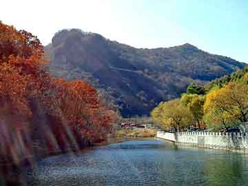 天天彩好彩天天免费，七彩山鸡苗价格